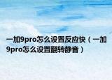 一加9pro怎么设置反应快（一加9pro怎么设置翻转静音）