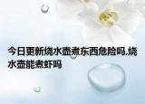 今日更新烧水壶煮东西危险吗,烧水壶能煮虾吗
