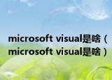 microsoft visual是啥（microsoft visual是啥）