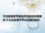 今日更新春节前后开花的花卉有哪些 什么花在春节开花花期比较长