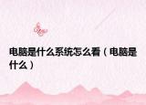 电脑是什么系统怎么看（电脑是什么）