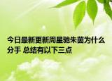 今日最新更新周星驰朱茵为什么分手 总结有以下三点