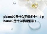 pbam00是什么手机多少寸（pbam00是什么手机型号）