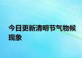 今日更新清明节气物候现象