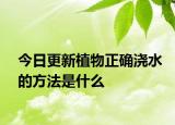 今日更新植物正确浇水的方法是什么