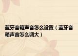 蓝牙音箱声音怎么设置（蓝牙音箱声音怎么调大）