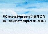 华为mate30prootg功能开关在哪（华为mate30proOTG在哪）
