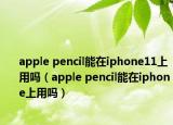 apple pencil能在iphone11上用吗（apple pencil能在iphone上用吗）