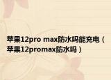 苹果12pro max防水吗能充电（苹果12promax防水吗）