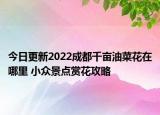 今日更新2022成都千亩油菜花在哪里 小众景点赏花攻略