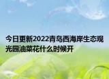 今日更新2022青岛西海岸生态观光园油菜花什么时候开