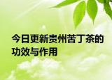 今日更新贵州苦丁茶的功效与作用