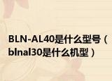 BLN-AL40是什么型号（blnal30是什么机型）