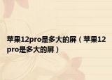 苹果12pro是多大的屏（苹果12pro是多大的屏）