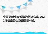 今日更新小麦价格为何这么高 2022行情走势上涨原因是什么