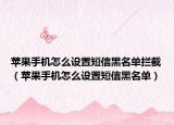 苹果手机怎么设置短信黑名单拦截（苹果手机怎么设置短信黑名单）