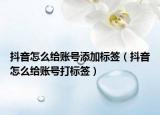 抖音怎么给账号添加标签（抖音怎么给账号打标签）