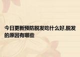 今日更新预防脱发吃什么好,脱发的原因有哪些