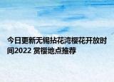 今日更新无锡拈花湾樱花开放时间2022 赏樱地点推荐