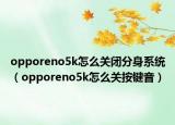 opporeno5k怎么关闭分身系统（opporeno5k怎么关按键音）