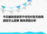 今日最新更新苏宁任性付暂无信用额度怎么回事 具体原因分析