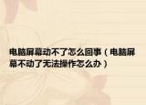 电脑屏幕动不了怎么回事（电脑屏幕不动了无法操作怎么办）