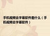手机视频去字幕软件是什么（手机视频去字幕软件）