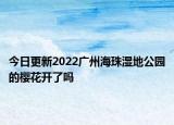 今日更新2022广州海珠湿地公园的樱花开了吗