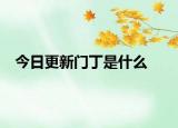 今日更新门丁是什么