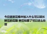 今日更新花瓶中加入什么可以延长鲜花的花期 鲜花枯萎了可以这么处理