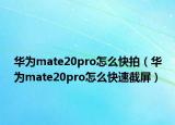 华为mate20pro怎么快拍（华为mate20pro怎么快速截屏）