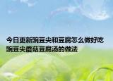 今日更新豌豆尖和豆腐怎么做好吃 豌豆尖蘑菇豆腐汤的做法