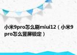 小米9pro怎么刷miui12（小米9pro怎么竖屏锁定）