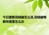 今日更新羽绒被怎么洗,羽绒被鸭腥味很重怎么办