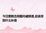 今日更新合同期内被辞退,应该得到什么补偿