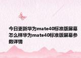 今日更新华为mate40标准版屏幕怎么样华为mate40标准版屏幕参数详情