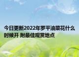 今日更新2022年罗平油菜花什么时候开 附最佳观赏地点