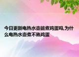 今日更新电热水壶能煮鸡蛋吗,为什么电热水壶煮不熟鸡蛋