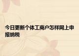 今日更新个体工商户怎样网上申报纳税