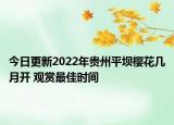 今日更新2022年贵州平坝樱花几月开 观赏最佳时间