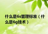 什么是6s管理标准（什么是6g技术）