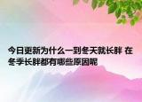今日更新为什么一到冬天就长胖 在冬季长胖都有哪些原因呢