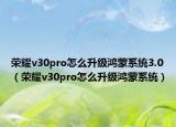 荣耀v30pro怎么升级鸿蒙系统3.0（荣耀v30pro怎么升级鸿蒙系统）