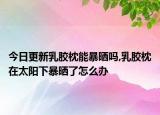 今日更新乳胶枕能暴晒吗,乳胶枕在太阳下暴晒了怎么办
