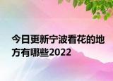 今日更新宁波看花的地方有哪些2022