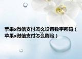 苹果x微信支付怎么设置数字密码（苹果x微信支付怎么刷脸）