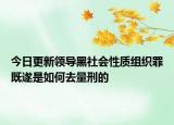 今日更新领导黑社会性质组织罪既遂是如何去量刑的