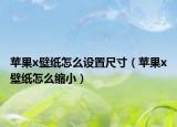 苹果x壁纸怎么设置尺寸（苹果x壁纸怎么缩小）