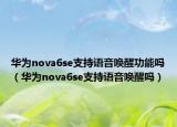 华为nova6se支持语音唤醒功能吗（华为nova6se支持语音唤醒吗）