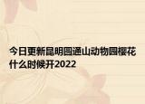 今日更新昆明圆通山动物园樱花什么时候开2022